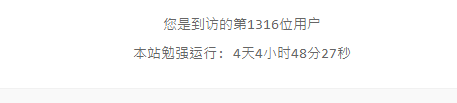 图片[1]-底部添加到访人数统计网站代码适用-轻刻年轮